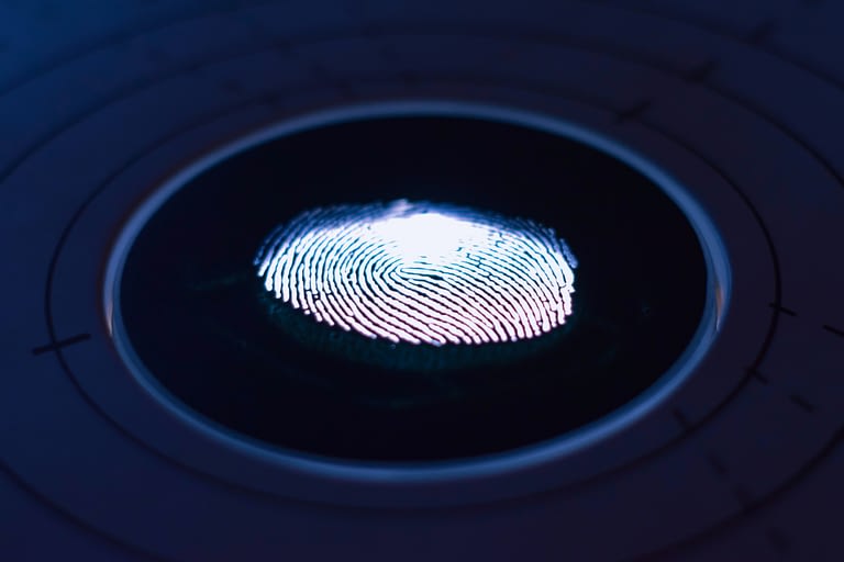 Biometric fingerprint