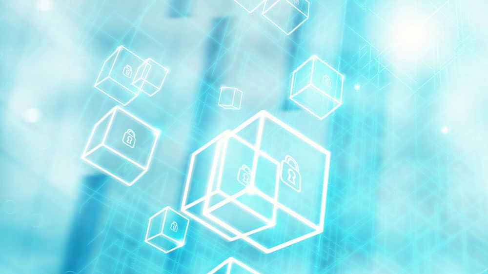 Prevent Identity Theft