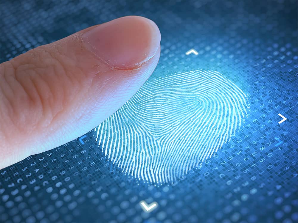 Fingerprint used as biometric verification
